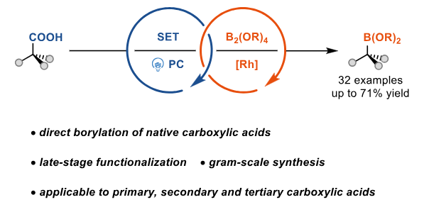 Graphical abstract for publication 18